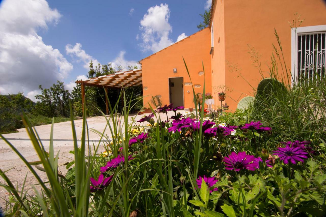 B&B Casa Vacanze Benvenuti Al Sud Aiello Calabro ภายนอก รูปภาพ